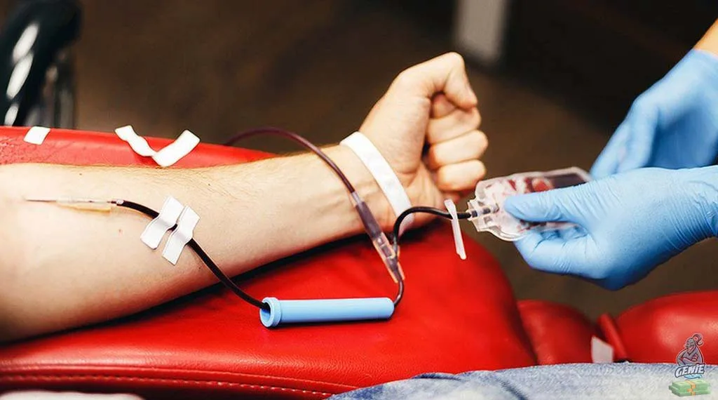 What Can You Donate To Get Money? How much money do you get for donating blood