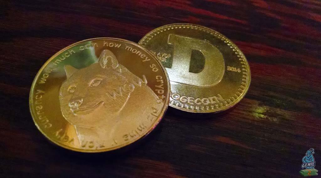 TOP 10 Shocking Facts About Dogecoin Coins you didn't know