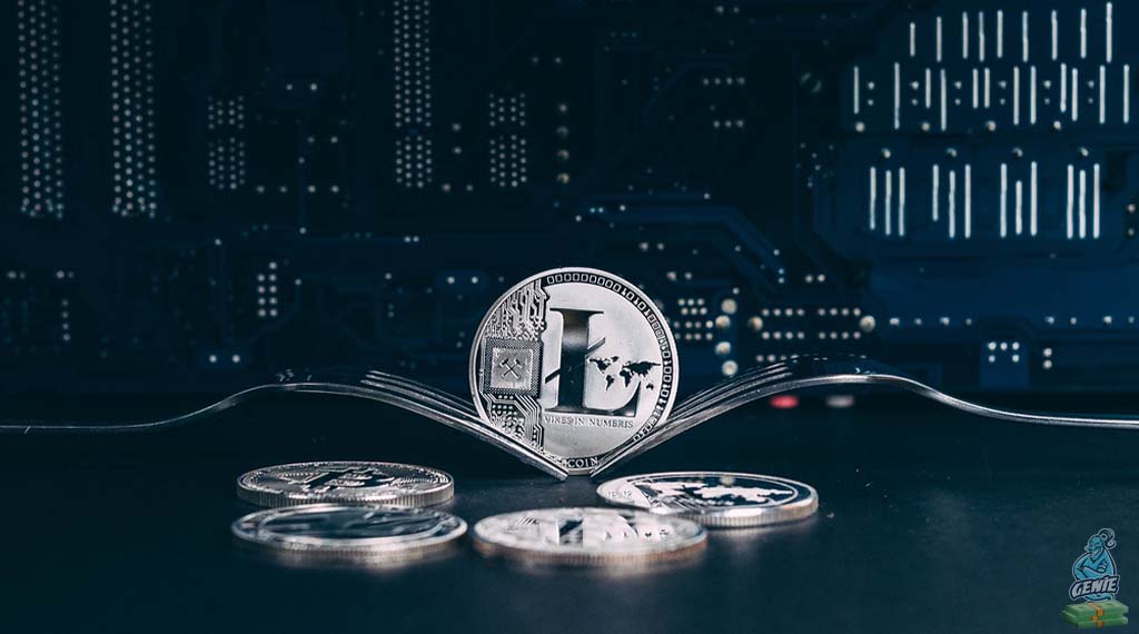 TOP 10 Shocking Facts About Litecoin Coins you didn't know