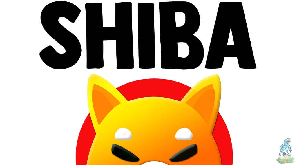 Top 18 shocking Shiba Coin Facts you didn't know - Thumbnail