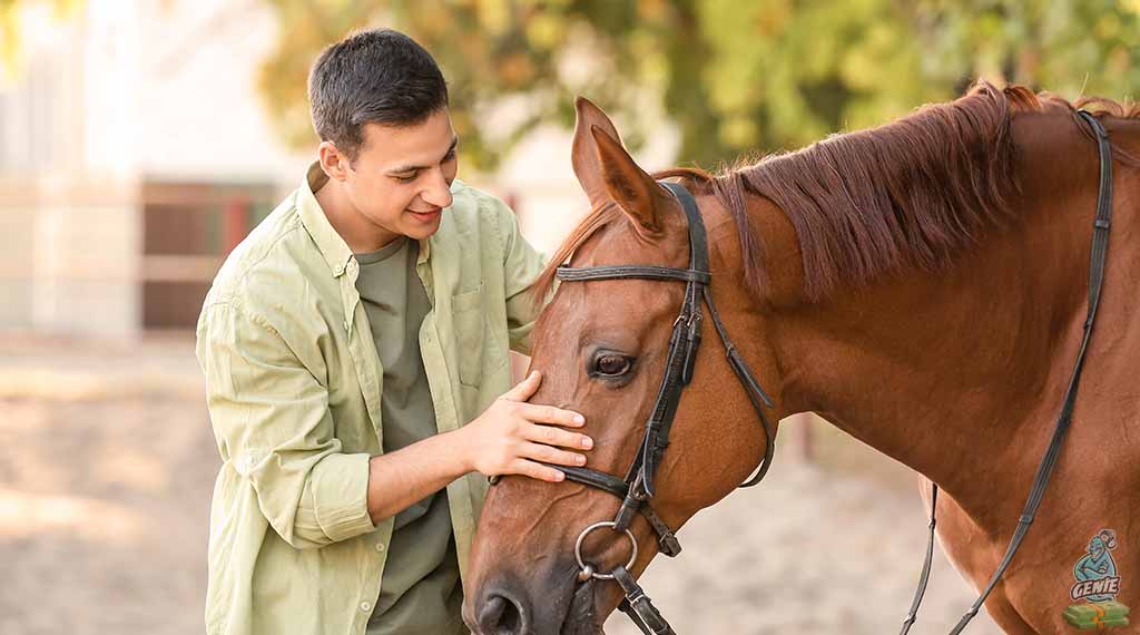 How to Make Money with Horses 15 Creative Strategies for Equine Entrepreneurs - THUMBNAIL