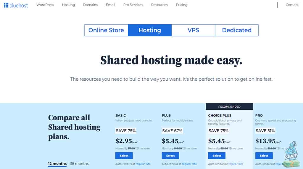 Bluehost Shared Hosting Plans Comparison Basic vs Choice Plus vs Online Store vs Pro