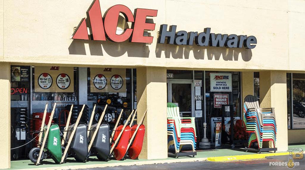 Ace Hardware - How to Make Profit from Already Existing Brands (TOP 9 Franchise Business Ideas)