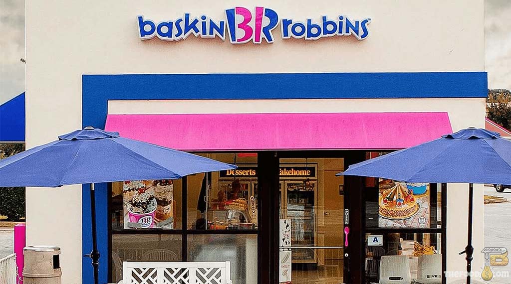 Baskin Robbins - How to Make Profit from Already Existing Brands (TOP 9 Franchise Business Ideas)